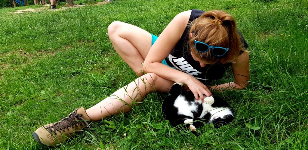 Dziewczyna na trawie bawiąca się z kotem.