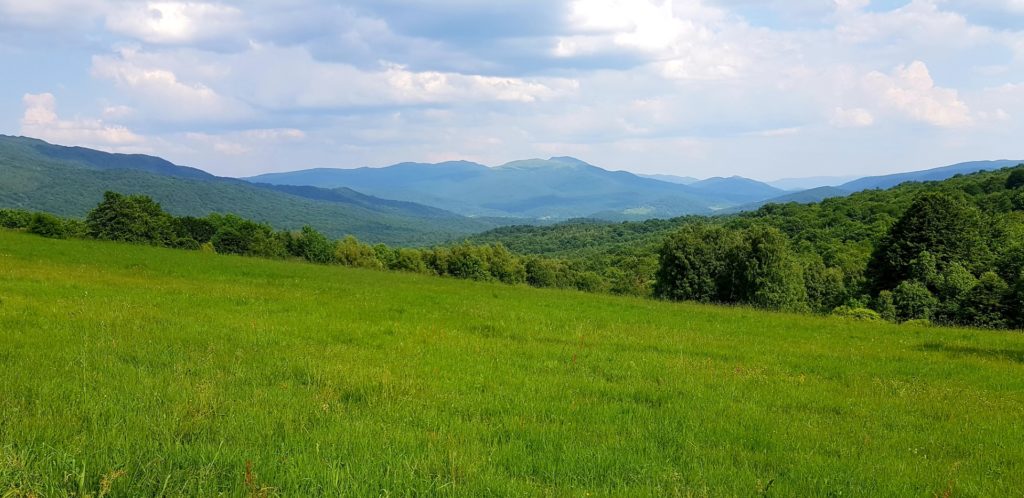 Piękna, zielona łąka z górami w tle, Bieszczady.