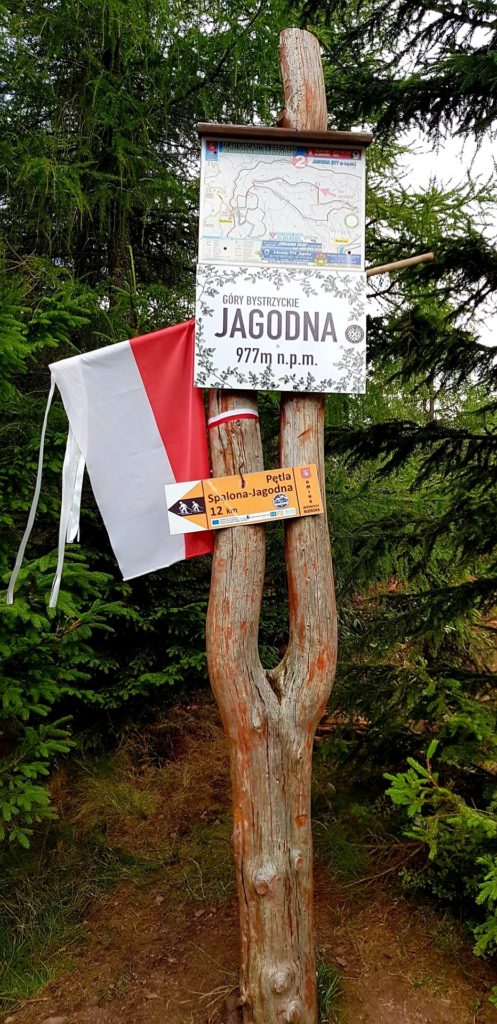 Znak oznaczający szczyt Jagodnej, góry bystrzyckie.