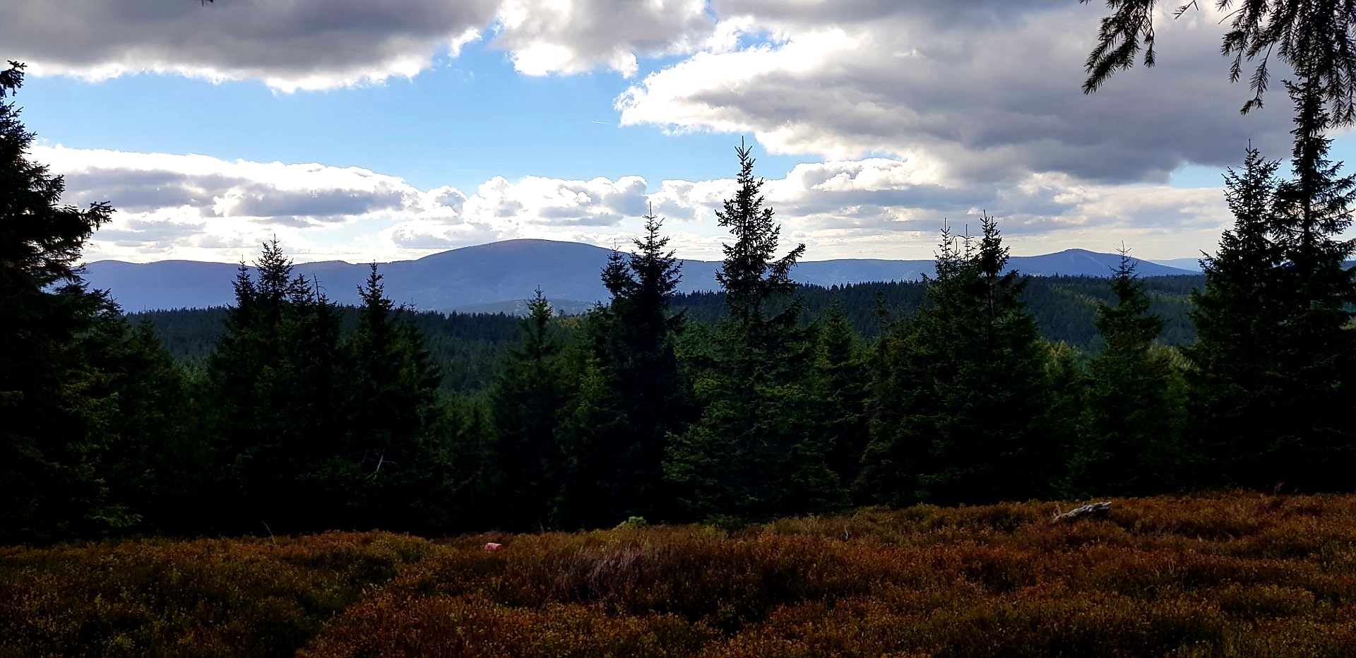Panorama gór widziana ze szlaku.