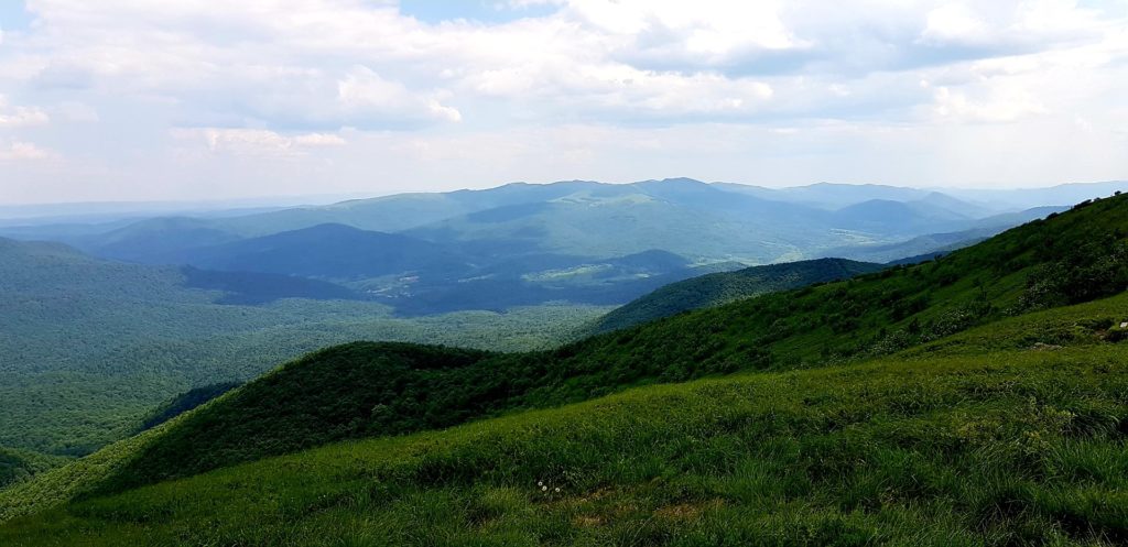 Panorama Bieszczadów widok na Tarnicę. Zielone zbocza gór.
