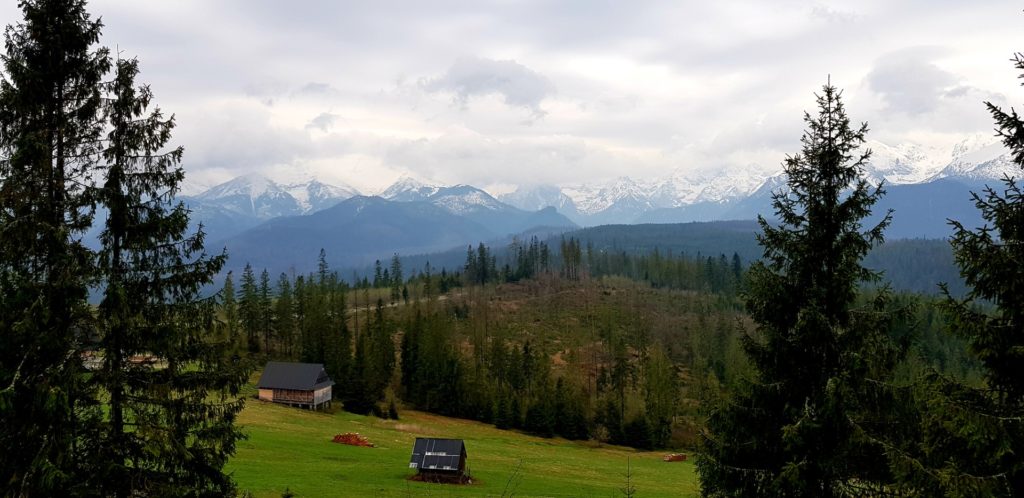Panorama Tatr widziana z Głodówki. Majestatyczne góry zakryte chmurami.,