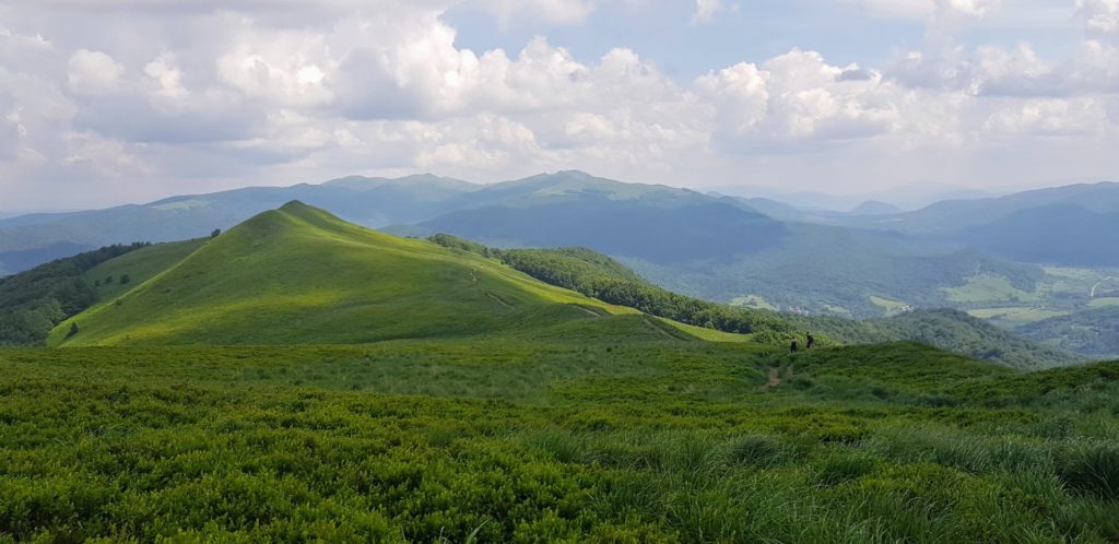 Zielone szczyty Bieszczadów.