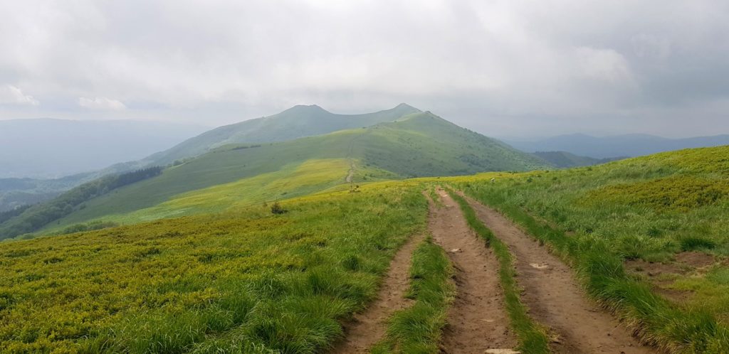 ZIelone Bieszczady