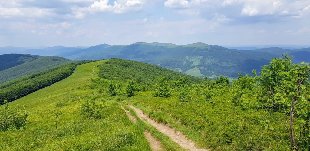Zielone szczyty Bieszczadów.