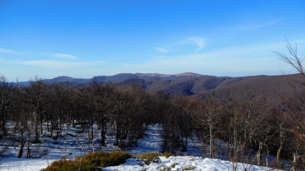 Widok na Bieszczady w słoneczny dzień.