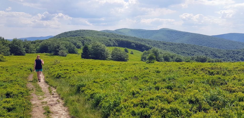 Dziewczyna idca samotnie szlakiem górskim. Zielone Bieszczady.