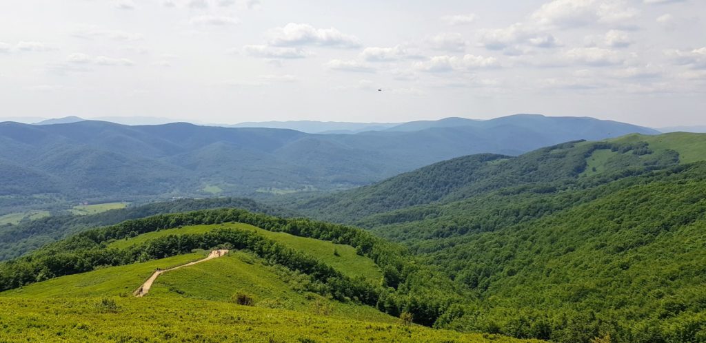 Zielone szczyty Bieszczadów.