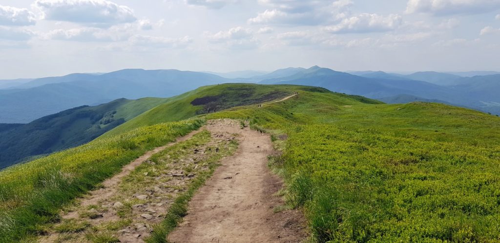 Zielone Bieszczady w słoneczny dzień.