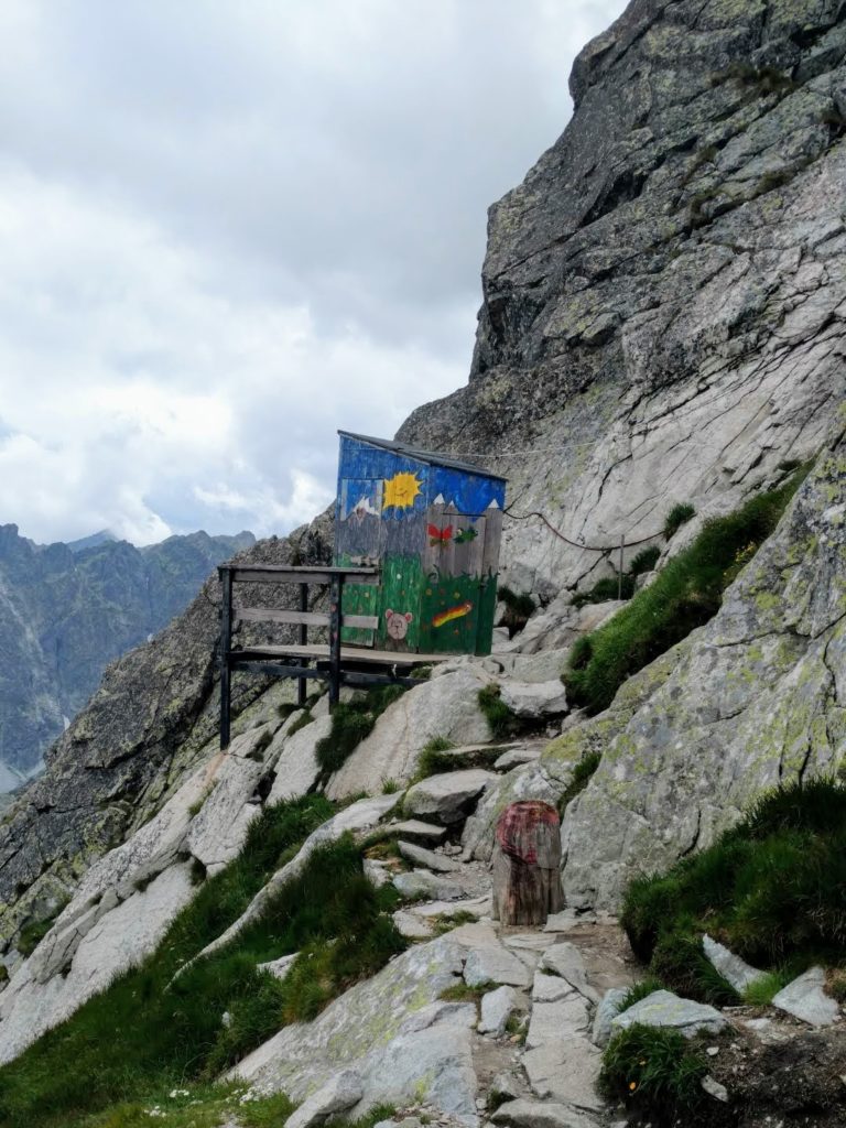Słąwojka przy schronisku pod Rysami. Tatry słowackie.
