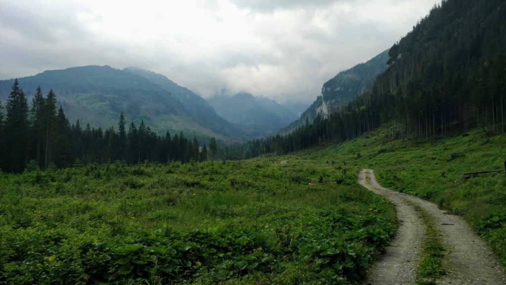 Łąka w górskiej dolinie. Tatry słowackie otoczone chmurami.