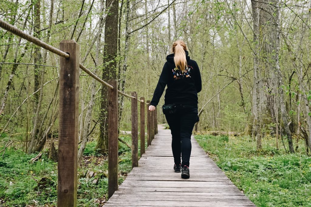 Dziewczyna idąca po drewnianych pomostach w Puszczy Białowieskiej.