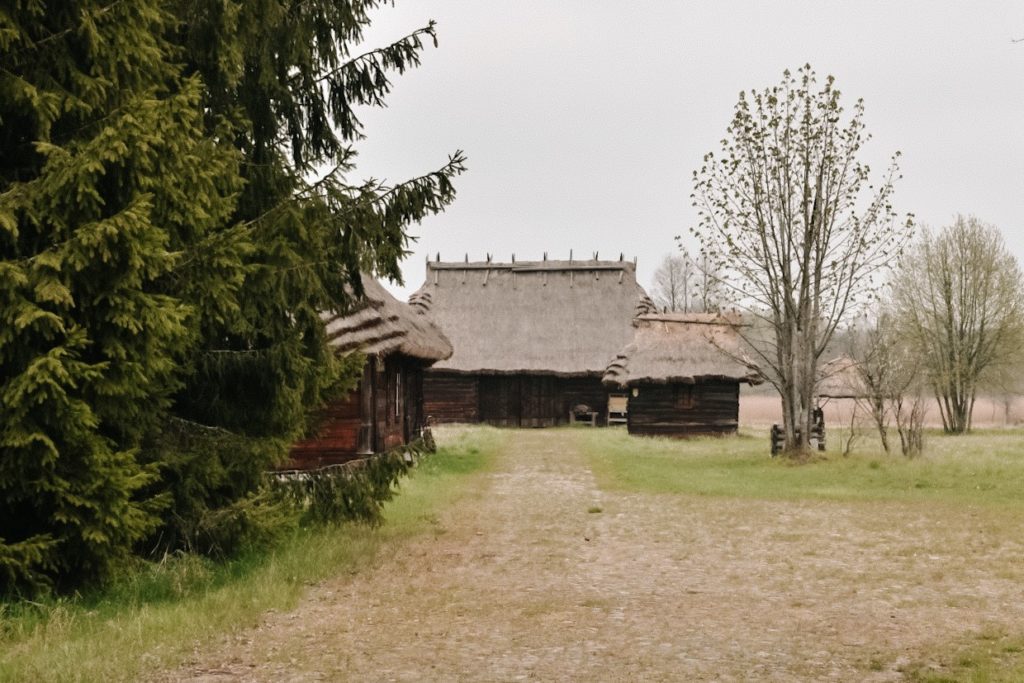 Białowieża skansen, widok na zabytkowe chatki.