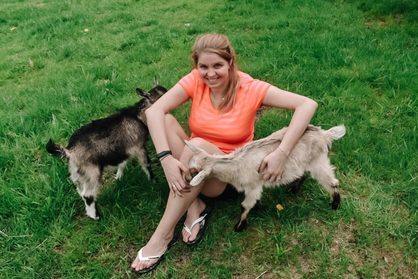 Dziewczyna głaszcząc małe kózki.