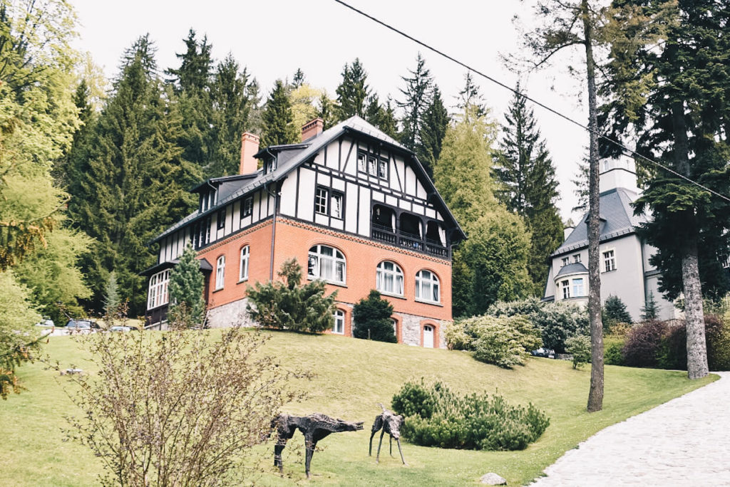 Międzygórze, stylowe domy.