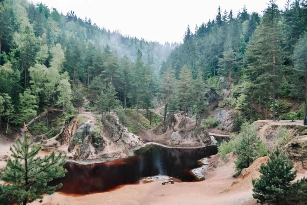 Purpurowe Jezioro w Rudawach Janowickich otoczone lasem.