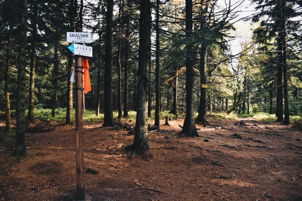 Szczyt góry, Skalnik - Rudawy Janowickie.