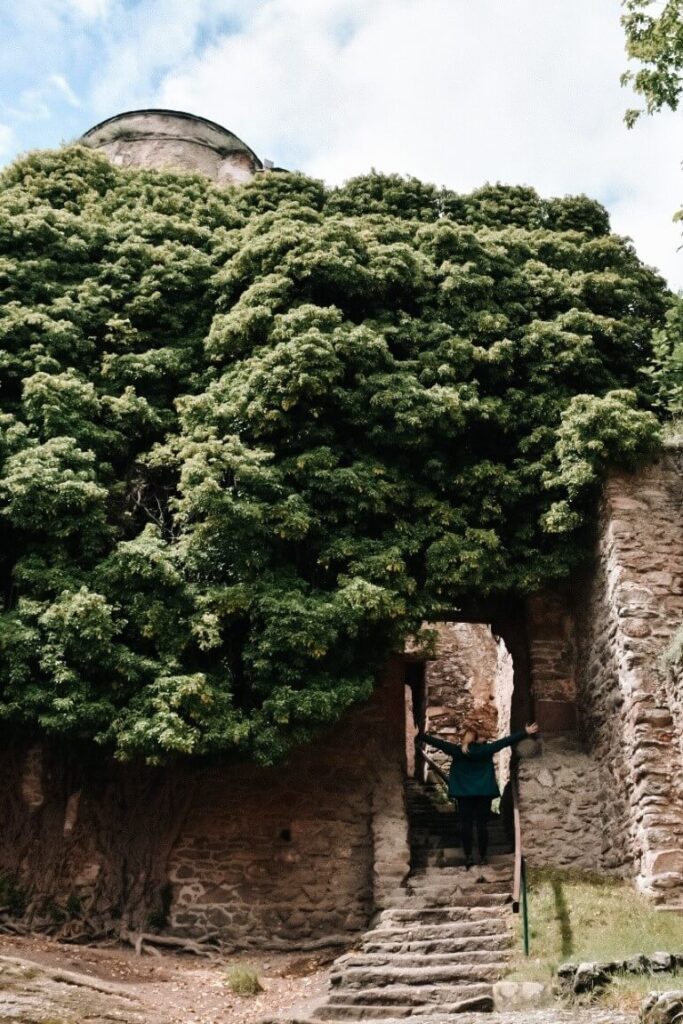 Dziewczyna w przejściu na Zamku Chojnik, mury porośnięte zielenią.