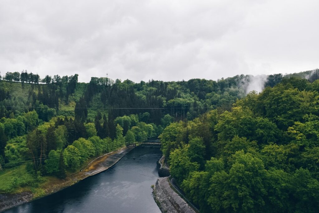 Rzeka otoczona zielonymi drzewami.