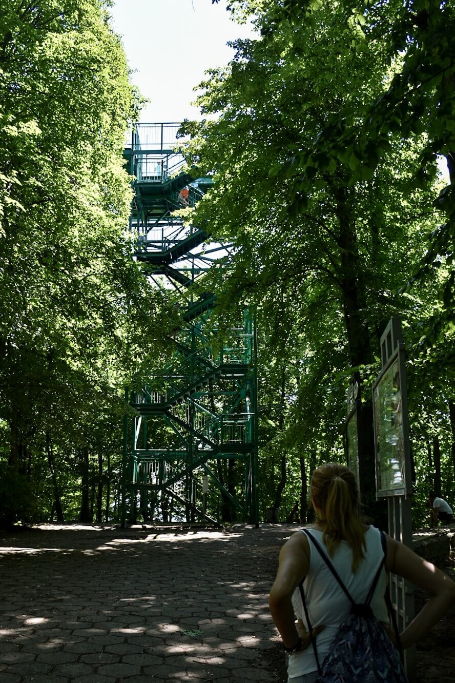 Wzgórze Pachołek w gdańskiej Oliwie.