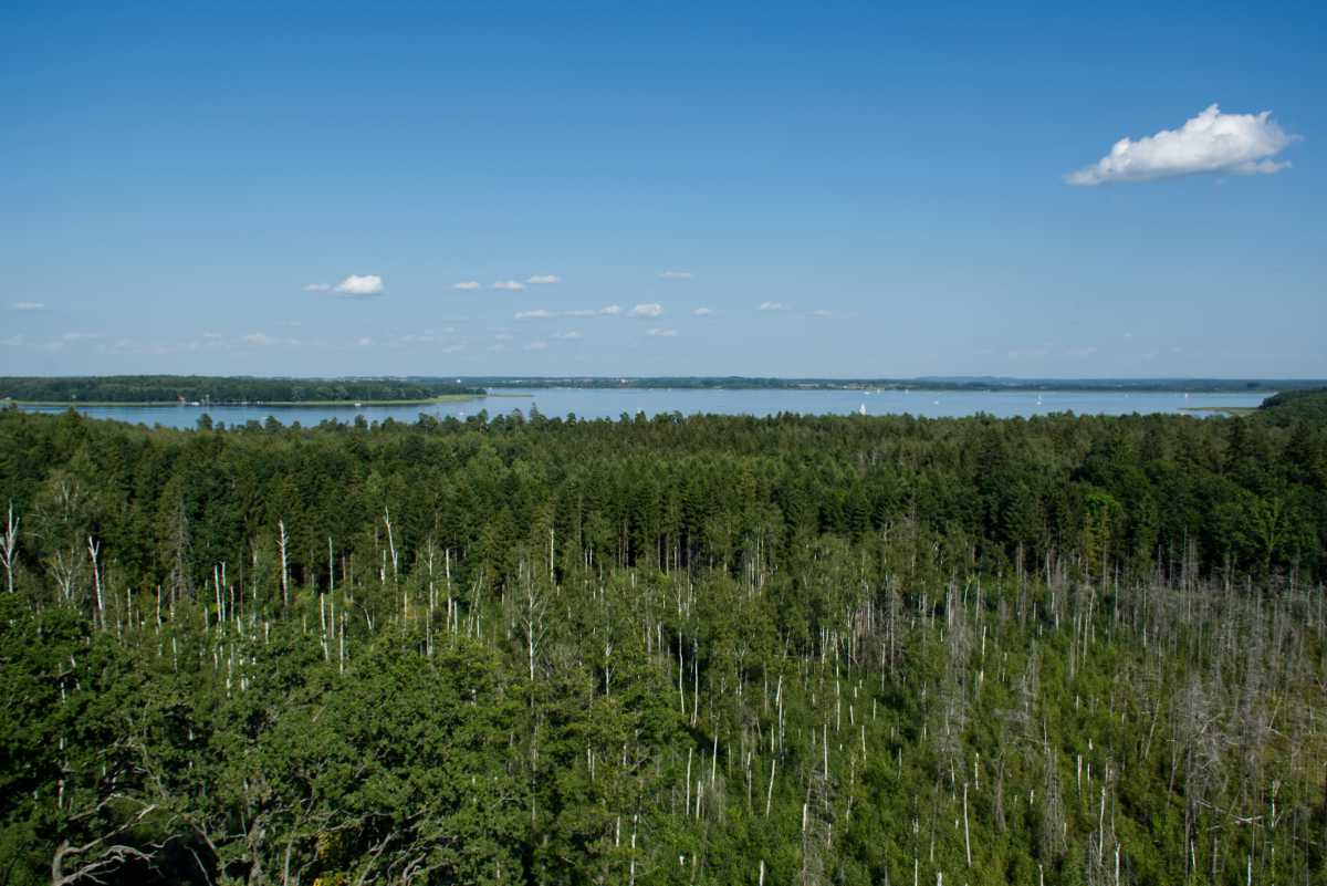 Widok na Jezioro Mamry z wieży w Mamerkach.