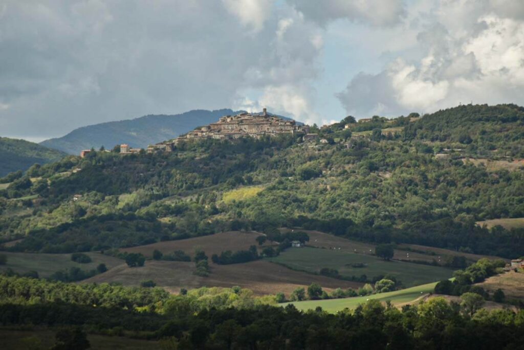 Toskania opactwo San Galgano widok na Val di Merse