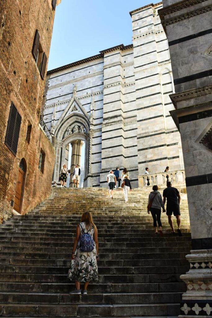 Toskania Siena katedra il Duomo