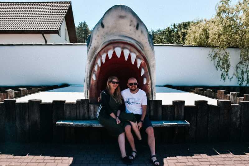 Para w fokarium Sarbsk.