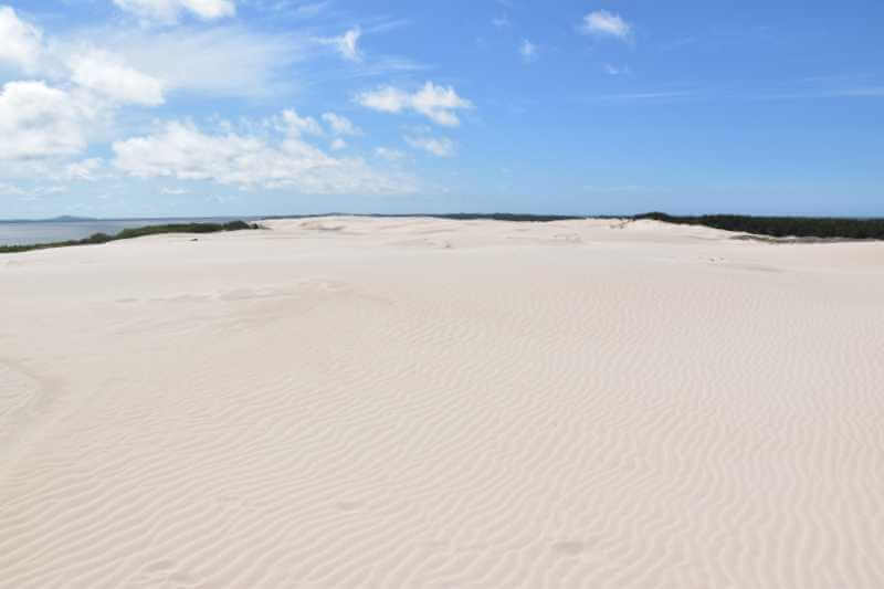 Ruchome wydmy, Łeba.