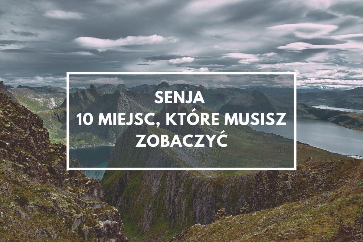 Senja, wyspa w Norwegii, widok ze szlaku na Husfjellet.