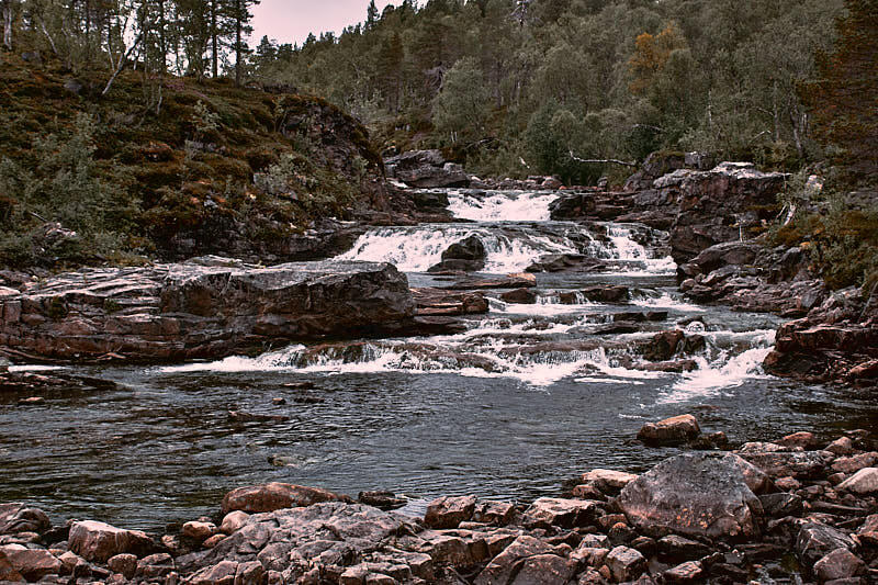 Park Narodowy Anderdalen.