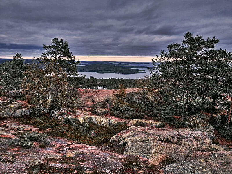 Skuleskogen, widok na Zatokę Botnicką.
