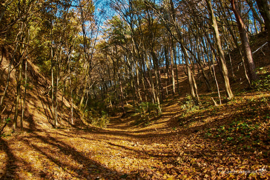 Brudzeński Park Krajobrazowy.