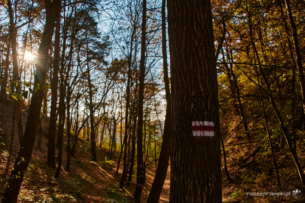 Brudzeński Park Krajobrazowy.