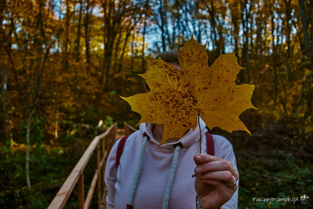 Brudzeński Park Krajobrazowy.