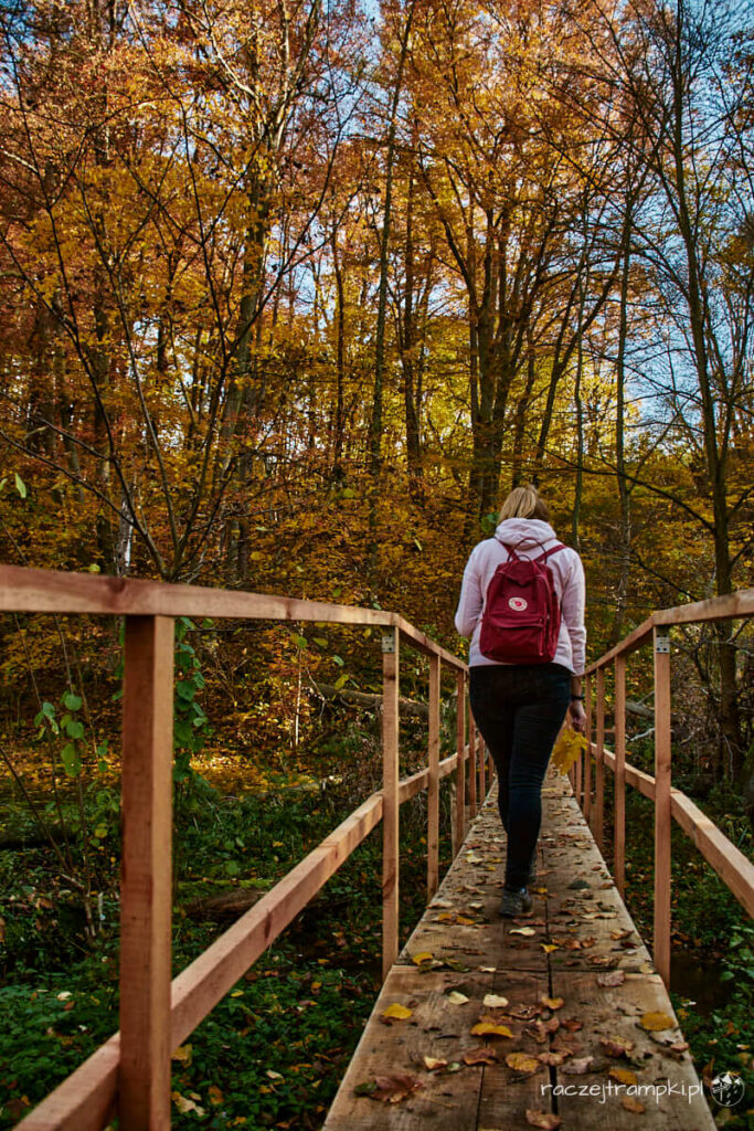 Brudzeński Park Krajobrazowy
