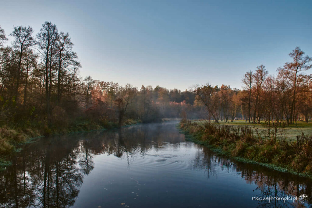 Skrwa w Brudzeńskim Parku Krajobrazowym.