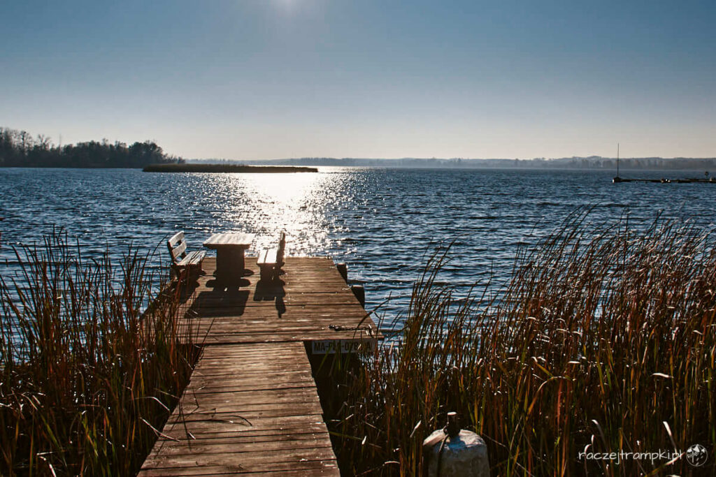 Okolice ujścia Skrwy do Wisły.