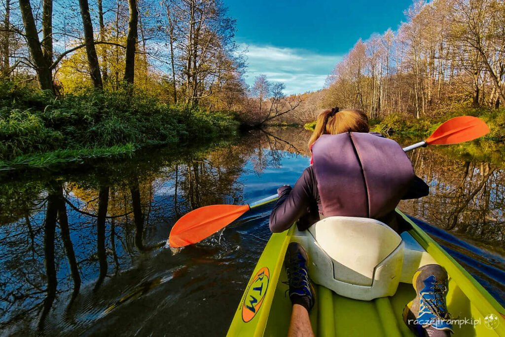 Skrwa w Brudzeńskim Parku Krajobrazowym