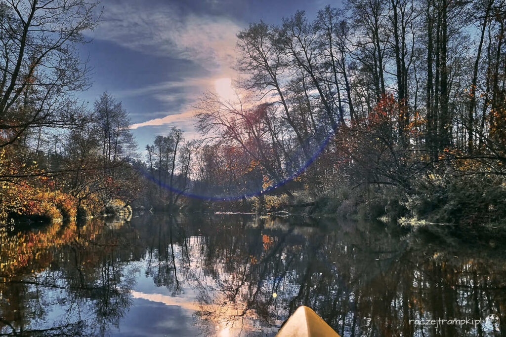 Skrwa w Brudzeńskim Parku Krajobrazowym