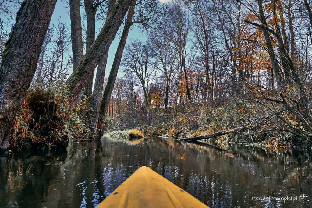 Skrwa w Brudzeńskim Parku Krajobrazowym