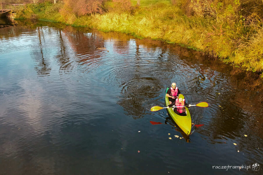 Skrwa w Brudzeńskim Parku Krajobrazowym