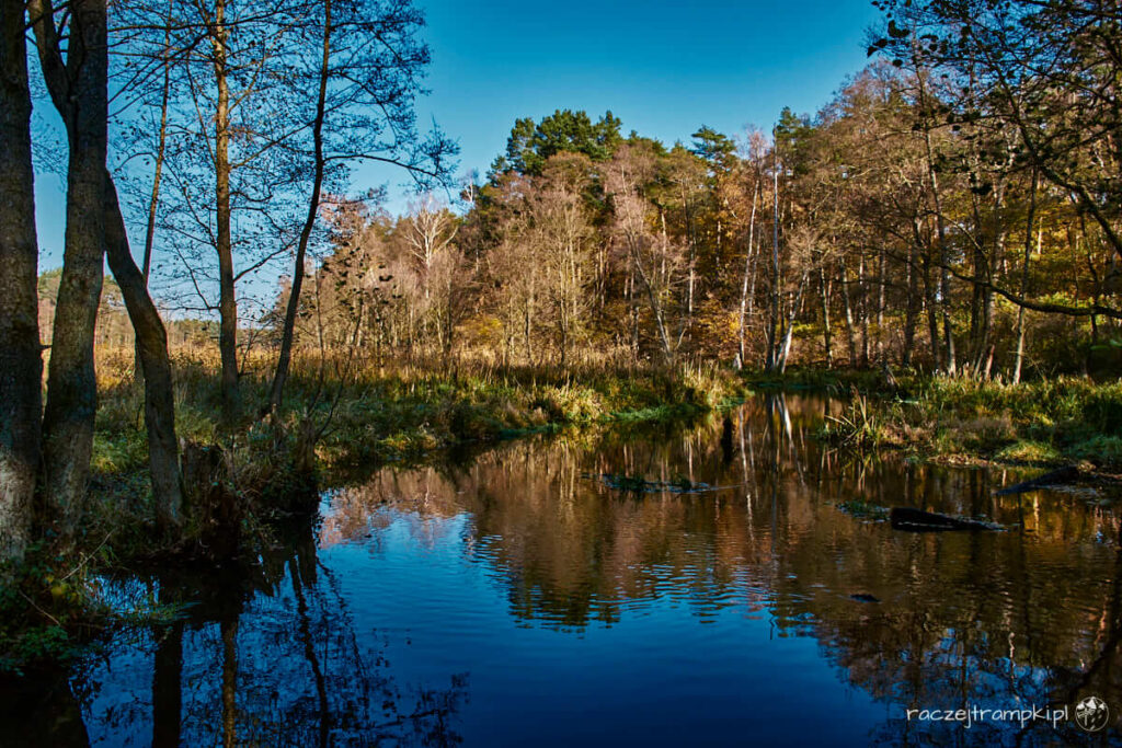 Gostynińsko-Włocławski Park Krajobrazowy