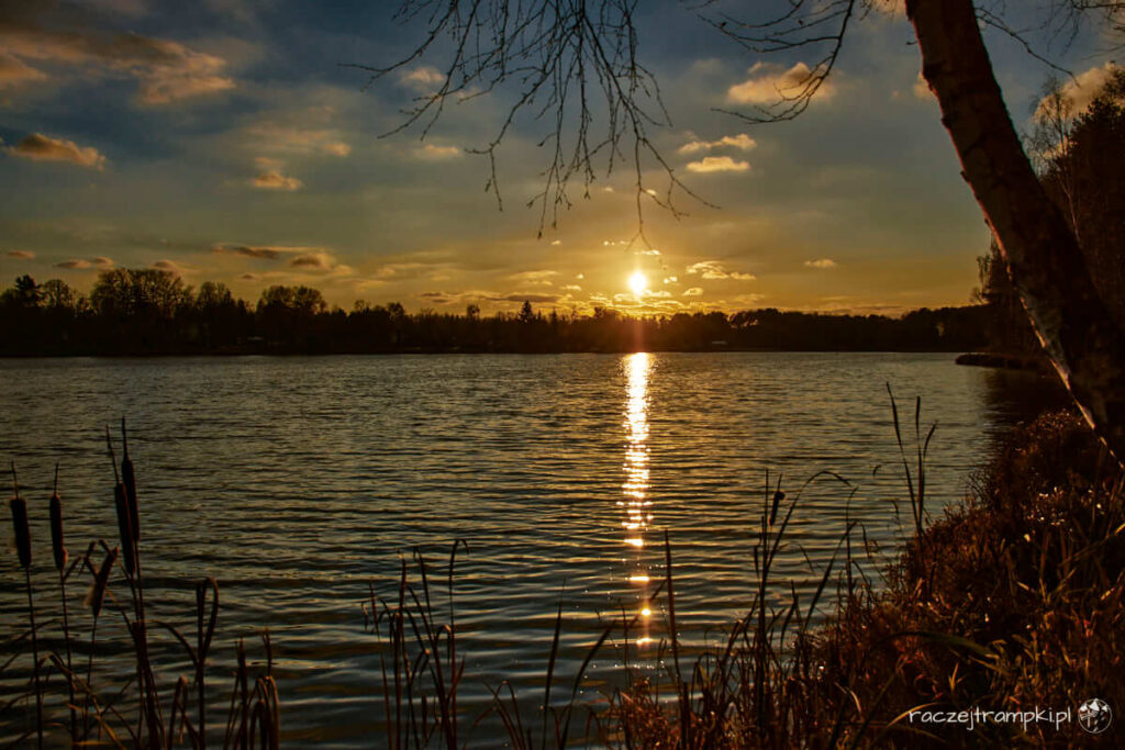 Kozienicki Park Krajobrazowy Jedlnia