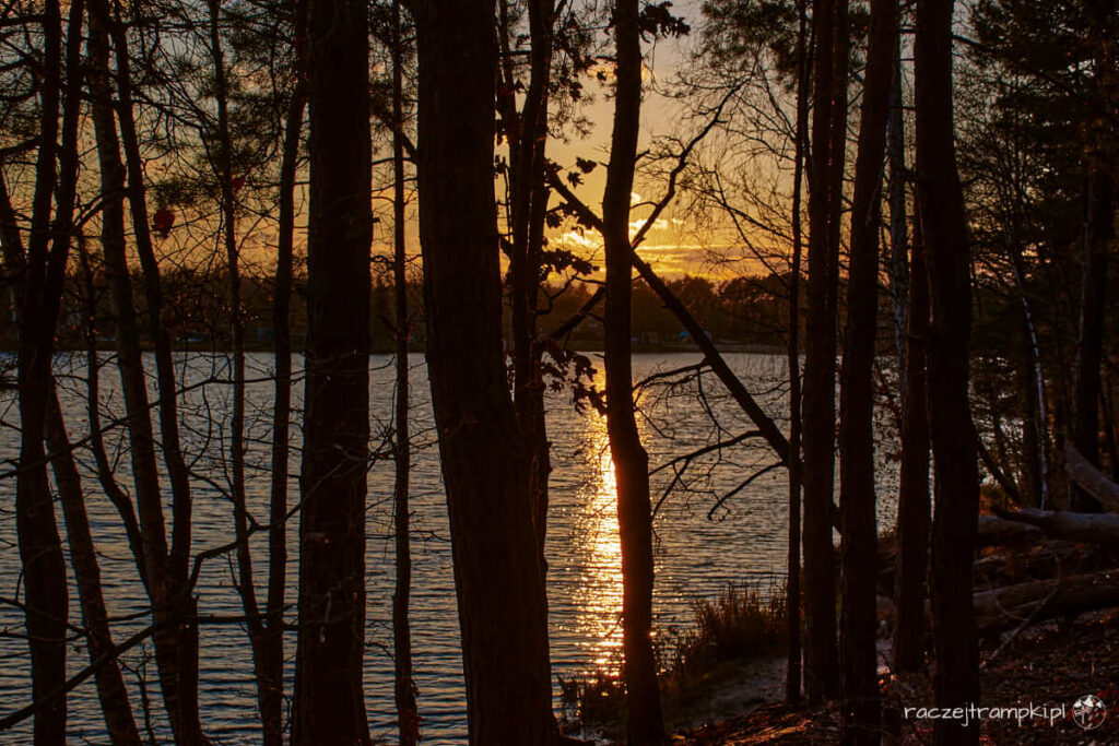 Kozienicki Park Krajobrazowy Jedlnia