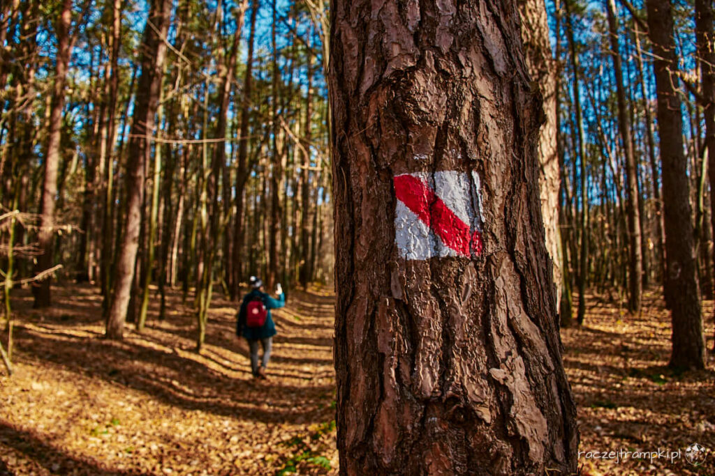 Kozienicki Park Krajobrazowy Krępiec