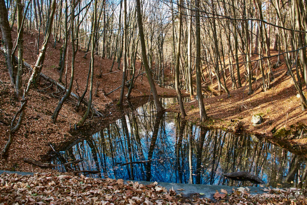 Kozienicki Park Krajobrazowy Krępiec
