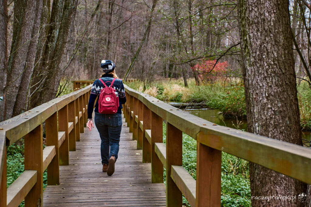 Kozienicki Park Krajobrazowy Królewskie Źródła