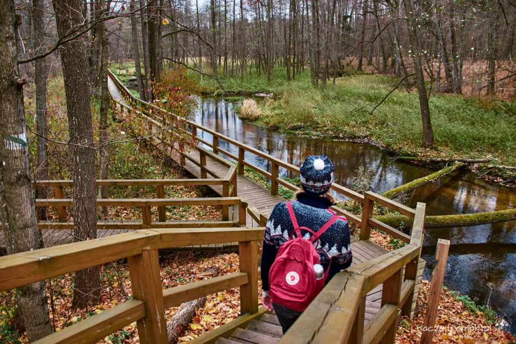 Kozienicki Park Krajobrazowy Królewskie Źródła