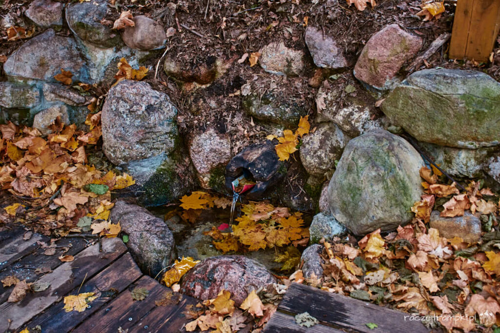 Kozienicki Park Krajobrazowy Królewskie Źródła